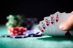 Exploring New Platform Sections on Online Casino Singapore Websites